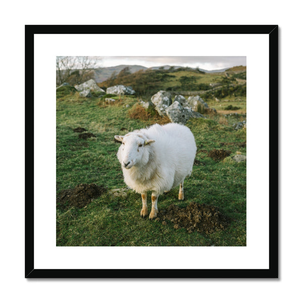 'Landscape (no.02)' Wales, 2019 Framed & Mounted Print