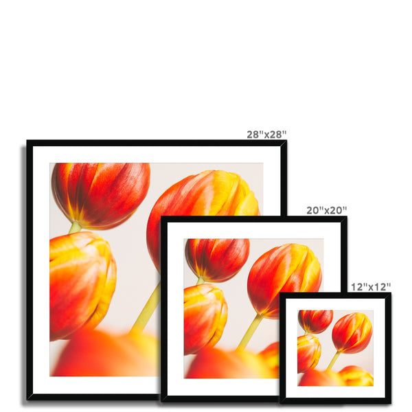 'Table Tulips (no.132)' 2020 Framed & Mounted Print