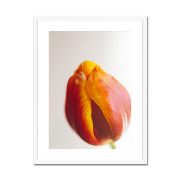 'Table Tulips (no.60)' 2020 Framed & Mounted Print