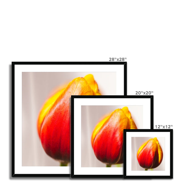 'Table Tulips (no.101)' 2020 Framed & Mounted Print
